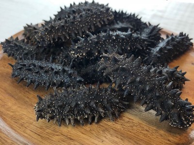 工厂货源量大价优 日本关东红参干货批发500g 关东淡干海参礼盒图4