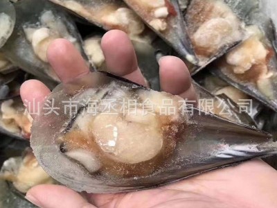半壳带子江珧贝 单冻半壳江瑶贝江珧贝柱 带子螺原料贴牌代工图4