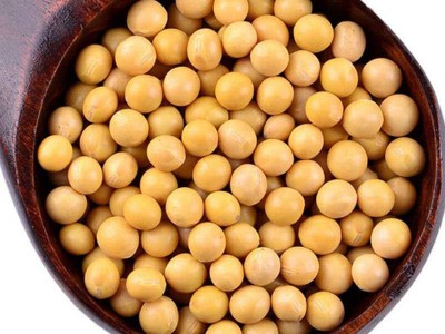厂家黄豆批发 400g真空装 大豆黄豆豆浆原料 黄豆 黑豆 红豆 绿豆图4