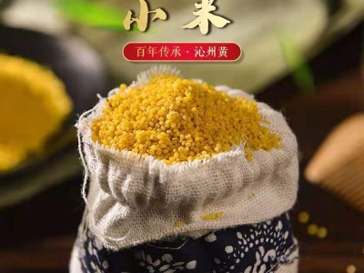 山西特产沁州黄小米2.5kg食用小黄米图2
