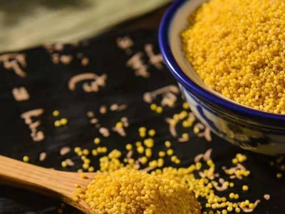 山西特产沁州黄小米2.5kg食用小黄米图5