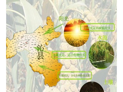 沁州黄2021新小米2.5Kg现磨厂家直发批发山西特产月子食用小黄米图3