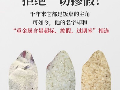 海镧金谷【甄香级清香型】东北响水石板大米长粒稻花香10斤装 5kg图2