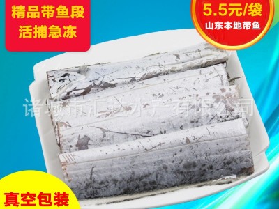 带鱼段 7-9大带鱼段 去头去尾 刀鱼段 新鲜冷冻 真空装一袋500克图5