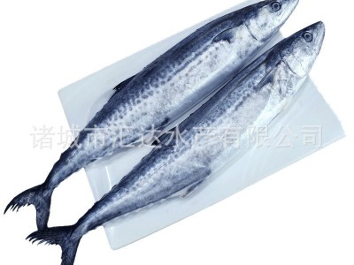 鲅鱼 马鲛鱼 提供定制 请提供规格 加工要求 包装要求图4