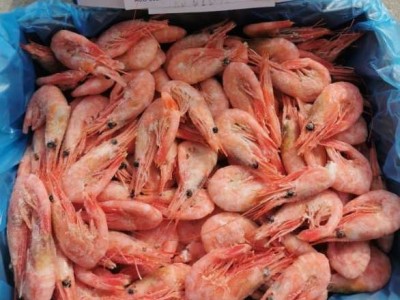 北极甜虾元宝虾带籽北极虾冰虾80/100净重4斤 冰虾图1