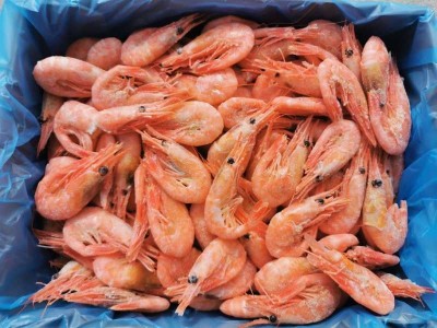 北极甜虾元宝虾带籽北极虾冰虾80/100净重4斤 冰虾图4