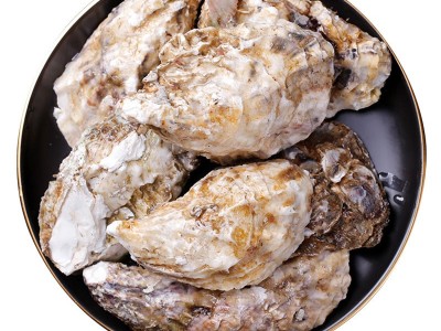 乳山鲜活生蚝5斤装 酒店烧烤生蚝批发 乳山大牡蛎 稳定货源图4
