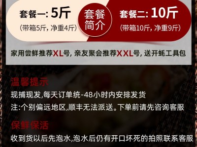 【包邮5斤实惠装】鲜活肥美乳山牡蛎 乳山生蚝批发 产地直供图2