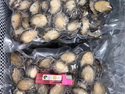 活冻净鲍鱼肉餐饮图3