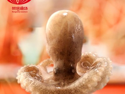 【电商货源】翻花三去八爪鱼章鱼鲜冻餐饮批发产地直采厂家直供图2