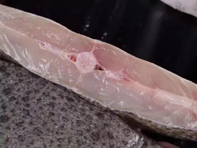 新鲜多宝鱼鲜活比目鱼 海鲜鱼类批发 活冻大菱鲆鸦片鱼鲽鱼石斑鱼图2