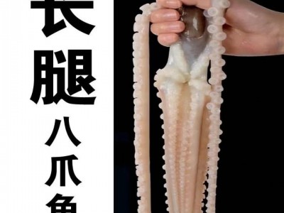 海鲜长腿八爪鱼大章鱼大爆头鲜活冷冻深海章鱼有墨活体单冻不泡水图2