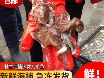厂家直发野生海捕八爪鱼新鲜鲜活冷冻章鱼爆头长腿八爪鱼海鲜批发图3