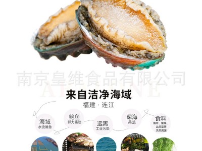 江船长鲍鱼肉8-10g 活冻鲜冻 去肚去齿鲍鱼 熟冻鲍鱼 鲍鱼仔图2