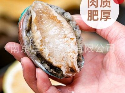 江船长鲍鱼肉8-10g 活冻鲜冻 去肚去齿鲍鱼 熟冻鲍鱼 鲍鱼仔图3