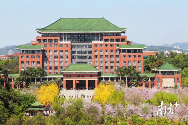 华南农业大学行政楼花开。华南农业大学供图