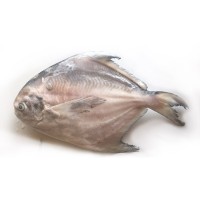 白鲳鱼批发 野生白鲳鱼9-10两 新鲜海鲜海鲳鱼平鱼98元/斤