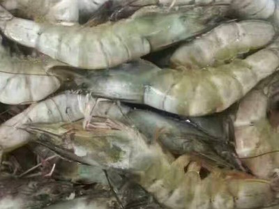 批发泰国活虾海上直冻 南美大白虾每盒3斤 新鲜水产海鲜大虾图2
