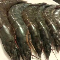 批发泰国活虾海上直冻 南美大白虾每盒3斤 新鲜水产海鲜大虾