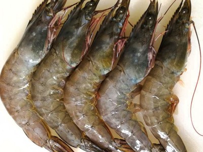 批发泰国活虾海上直冻 南美大白虾每盒3斤 新鲜水产海鲜大虾图3