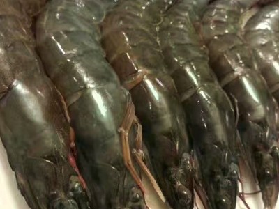 批发泰国活虾海上直冻 南美大白虾每盒3斤 新鲜水产海鲜大虾图5