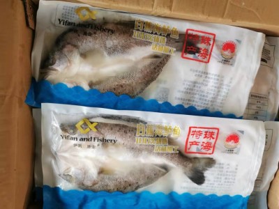 冷冻开背海鲈鱼全规格 批发真空包装清蒸鲈鱼香煎鲈鱼烤鱼20斤/箱图2