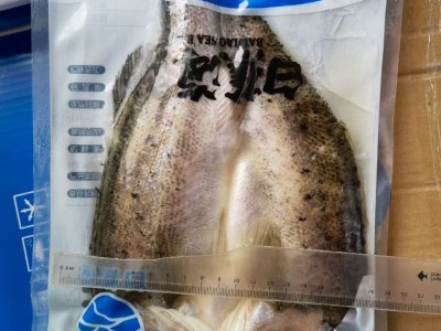 冷冻开背海鲈鱼全规格 批发真空包装清蒸鲈鱼香煎鲈鱼烤鱼20斤/箱图4