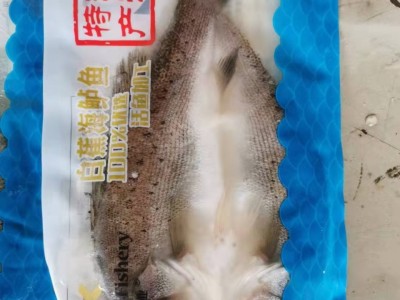 冷冻开背海鲈鱼全规格 批发真空包装清蒸鲈鱼香煎鲈鱼烤鱼20斤/箱图5