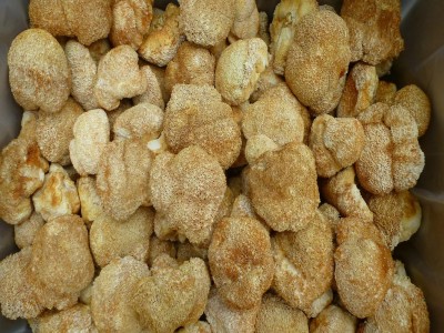 【裕菌隆】 猴头菇 食用菌猴头菇批发 猴头菇干货 酒店猴头菇供应图2
