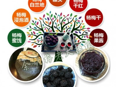 厂家出售8公分杨梅工程苗 杨梅绿化工程苗 多规格杨梅绿化苗图5