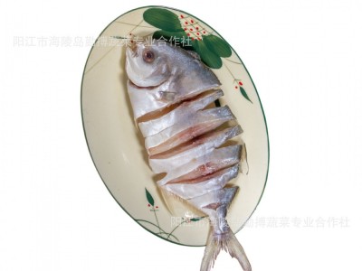 淡晒深海金鲳鱼淡盐咸鱼干自制风新鲜金昌鱼阳江特产海鲜水产干货图4