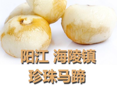 珍珠马蹄品鲜椰子鸡配料香糯小马蹄阳江特产产地直发常年稳定供应图2
