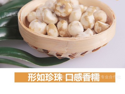 阳江市海陵镇特产珍珠马蹄直供椰子鸡配料小马蹄茡荠图5