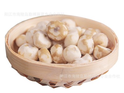 阳江市海陵镇特产珍珠马蹄直供椰子鸡配料小马蹄茡荠图3