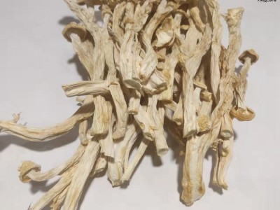 鑫榕钰海鲜菇干货剪根无根不开伞 海鲜菇菇香柄脆嫩蟹味菌菇图5