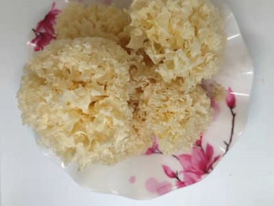 椴木小银耳椴木雪耳糯耳中大朵菇农山泉水灌盖自产自销图3