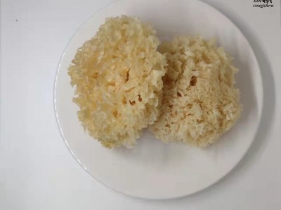 椴木小银耳椴木雪耳糯耳中大朵菇农山泉水灌盖自产自销图5