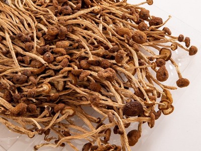 福建茶树菇干货袋装250g 新鲜干菌菇食用送礼厂家批发oem量大优惠图3