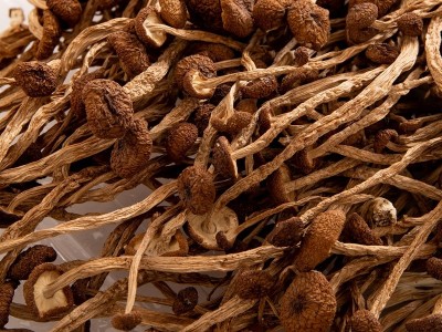 福建茶树菇干货袋装250g 新鲜干菌菇食用送礼厂家批发oem量大优惠图4
