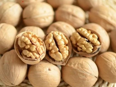 厂家直销 批发阿克苏纸皮核桃薄皮核桃 原味生核桃 一件代发包邮图2
