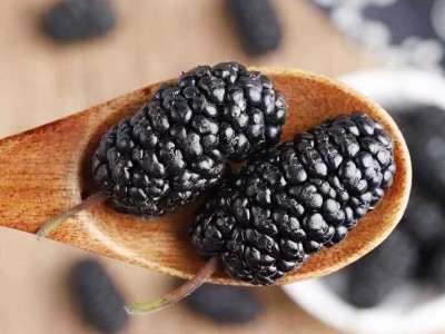 2021年新货桑葚干新疆无沙不用洗桑葚干泡茶煮粥黑桑葚图3