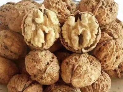 云南纸皮核桃出口厂家可商检15130676089图4