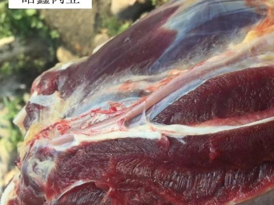 内蒙古牛肉腱子肉 黄牛肉新鲜牛腱子 肉质鲜嫩冷冻牛肉图5