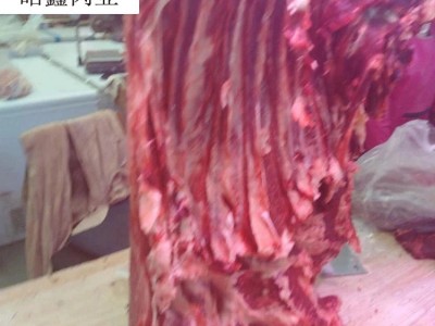 牛腩 内蒙古黄牛肉牛腩肚皮肉 5千克起批新鲜牛腩肉图4