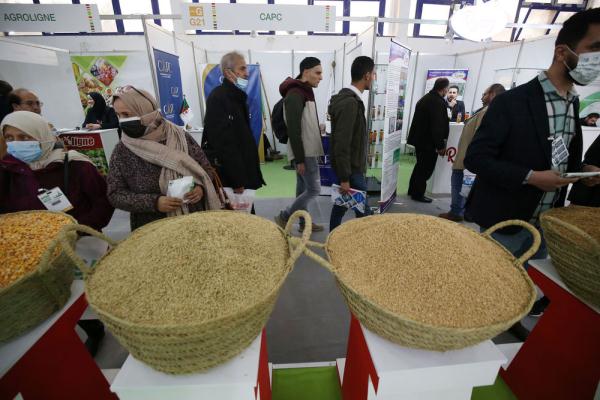 第20届阿尔及利亚国际农业展在阿尔及尔举行