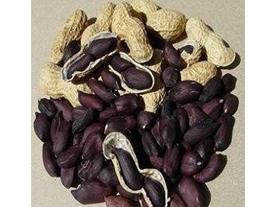 样品链接用，带壳黑花生黑杂粮， 五谷杂粮批发 营养厂家批发图3