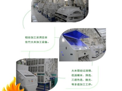 爱菊一号香米 10kg 东北大米批发 厂家直发 员工福利图2