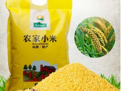 2020年新小米山西沁州黄小米500g真空装米油厚食用小黄米一件代发图5