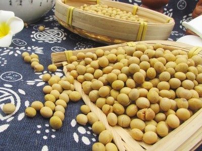 低温烘焙熟黄豆现磨豆浆原料散装批发直批豆浆商用磨粉熟豆子大豆图3